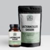 Lactobacillus Gasseri